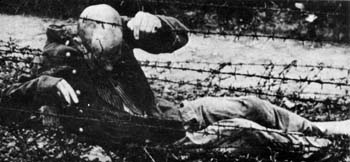Many desperate prisoners deliberately made for the fences of concentration camps, knowing they would either be shot or electrocuted.